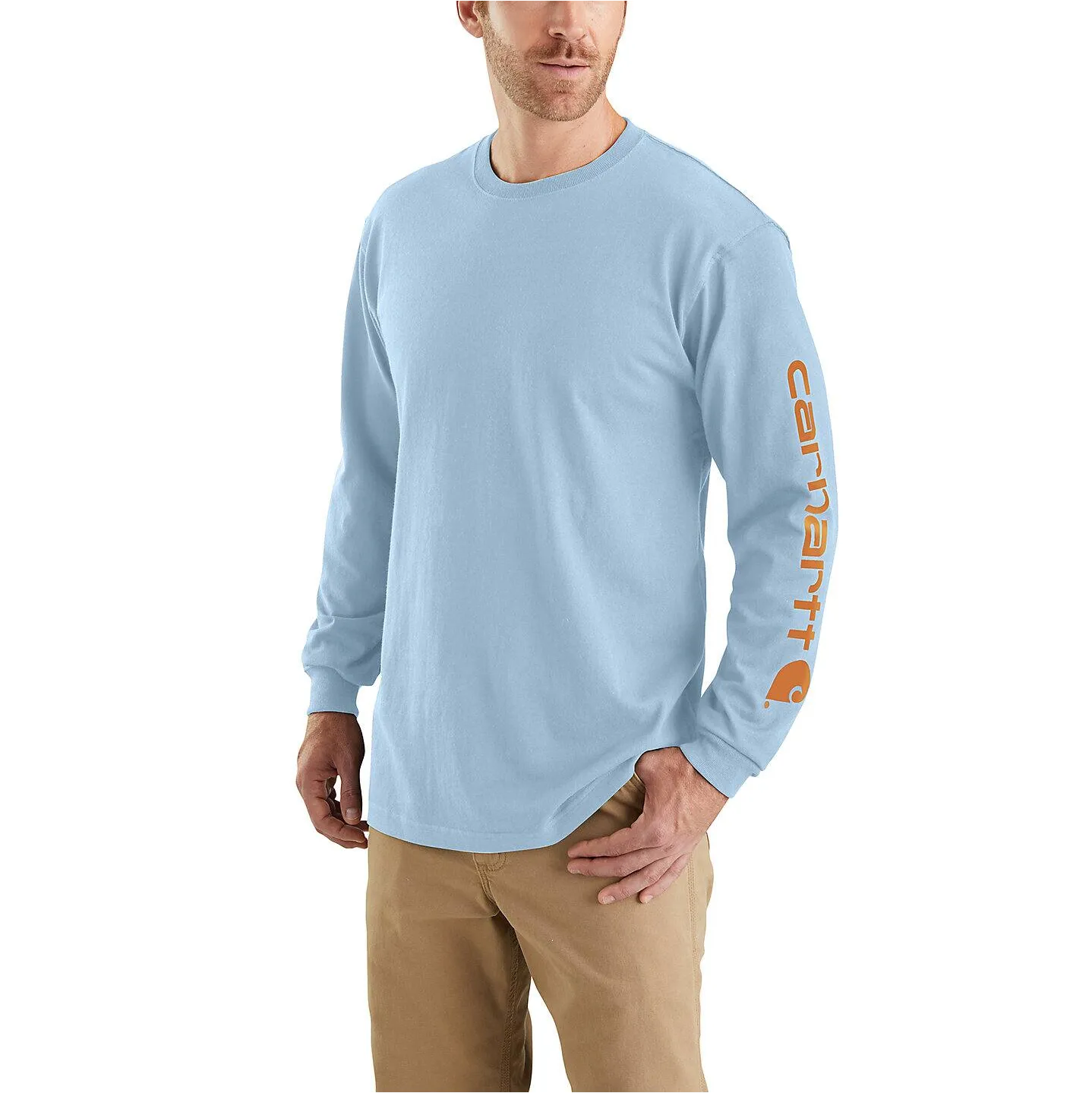 Carhartt Signature Sleeve Logo Long Sleeve T-Shirt