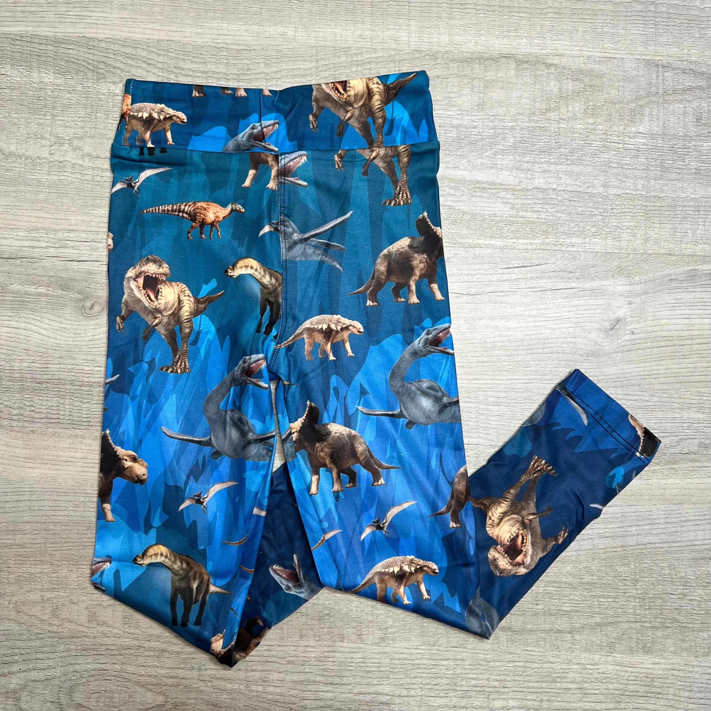 Dinosaurs on Blue Kids Soft Leggings