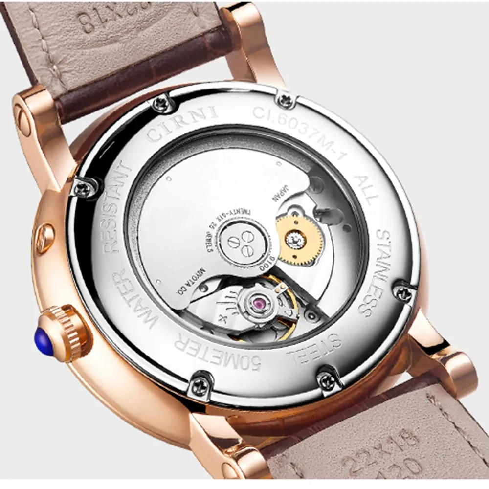 Men's Sapphire Crystal Automatic Movement Mechanical Wristwatches