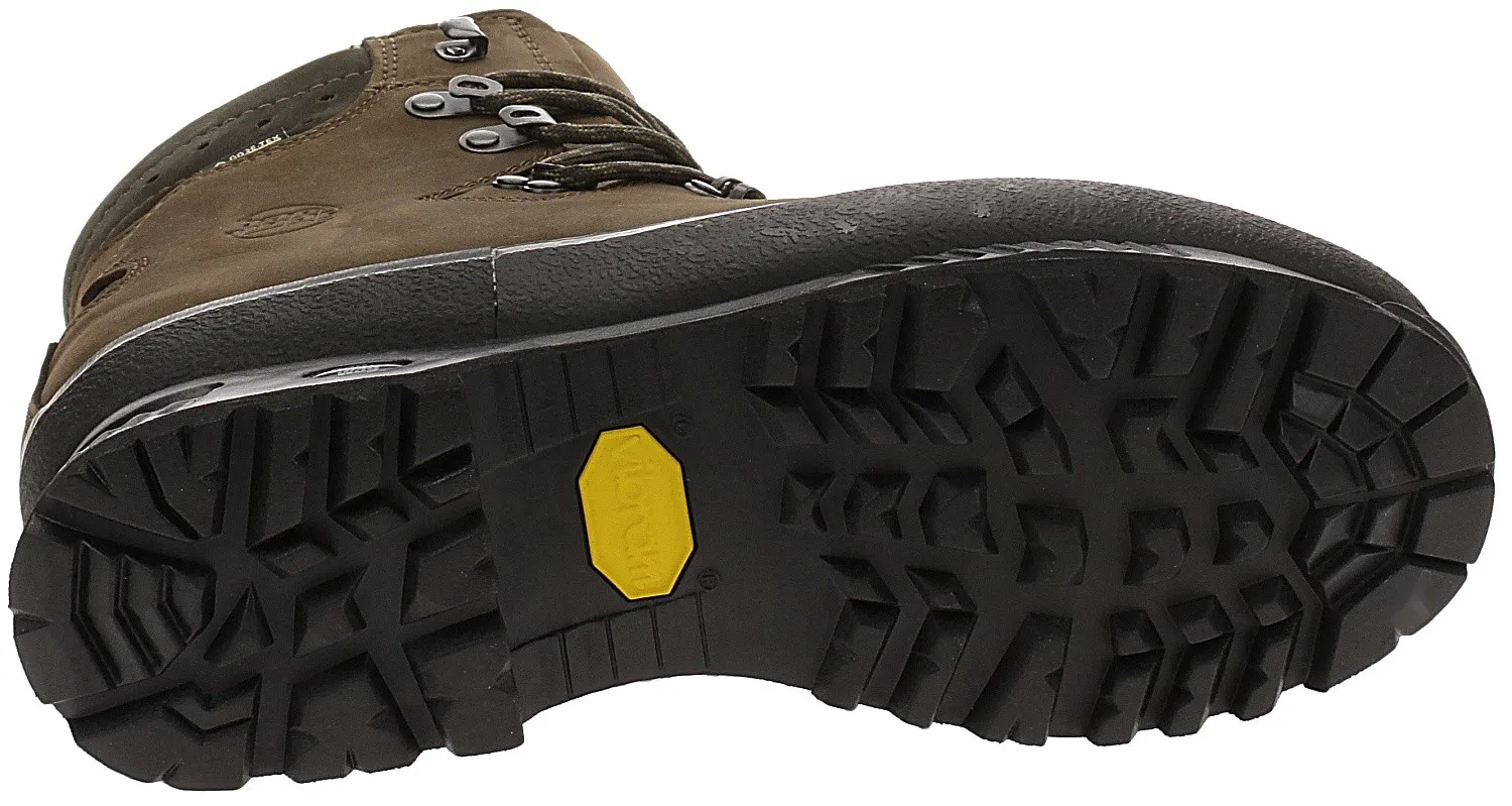 shoes Hanwag Alaska GTX - Erde/Brown - men´s